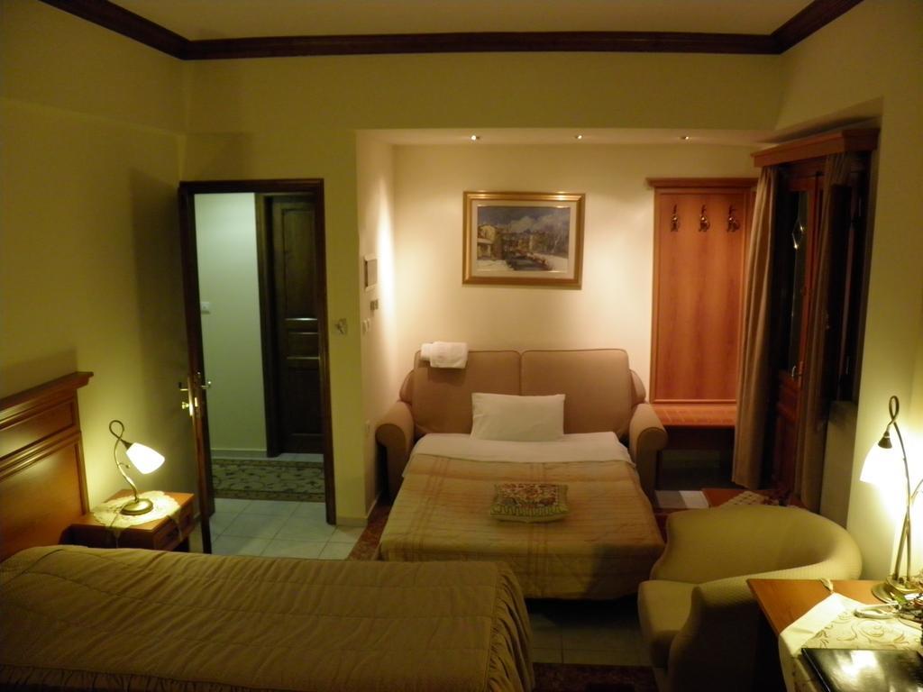 Egnatia Hotel Ioannina Værelse billede